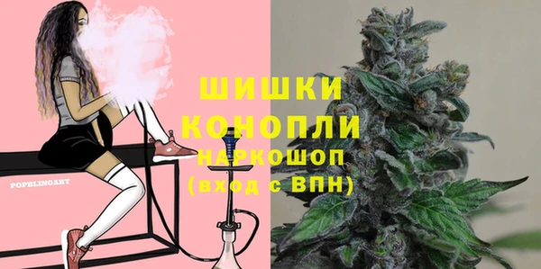 Альфа ПВП Аркадак