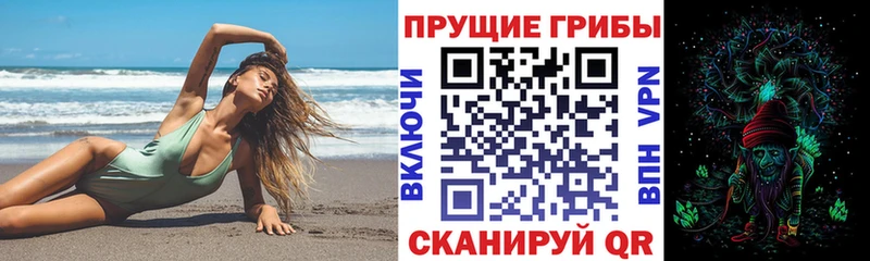Псилоцибиновые грибы Magic Shrooms  гидра рабочий сайт  Покровск  где купить наркоту 